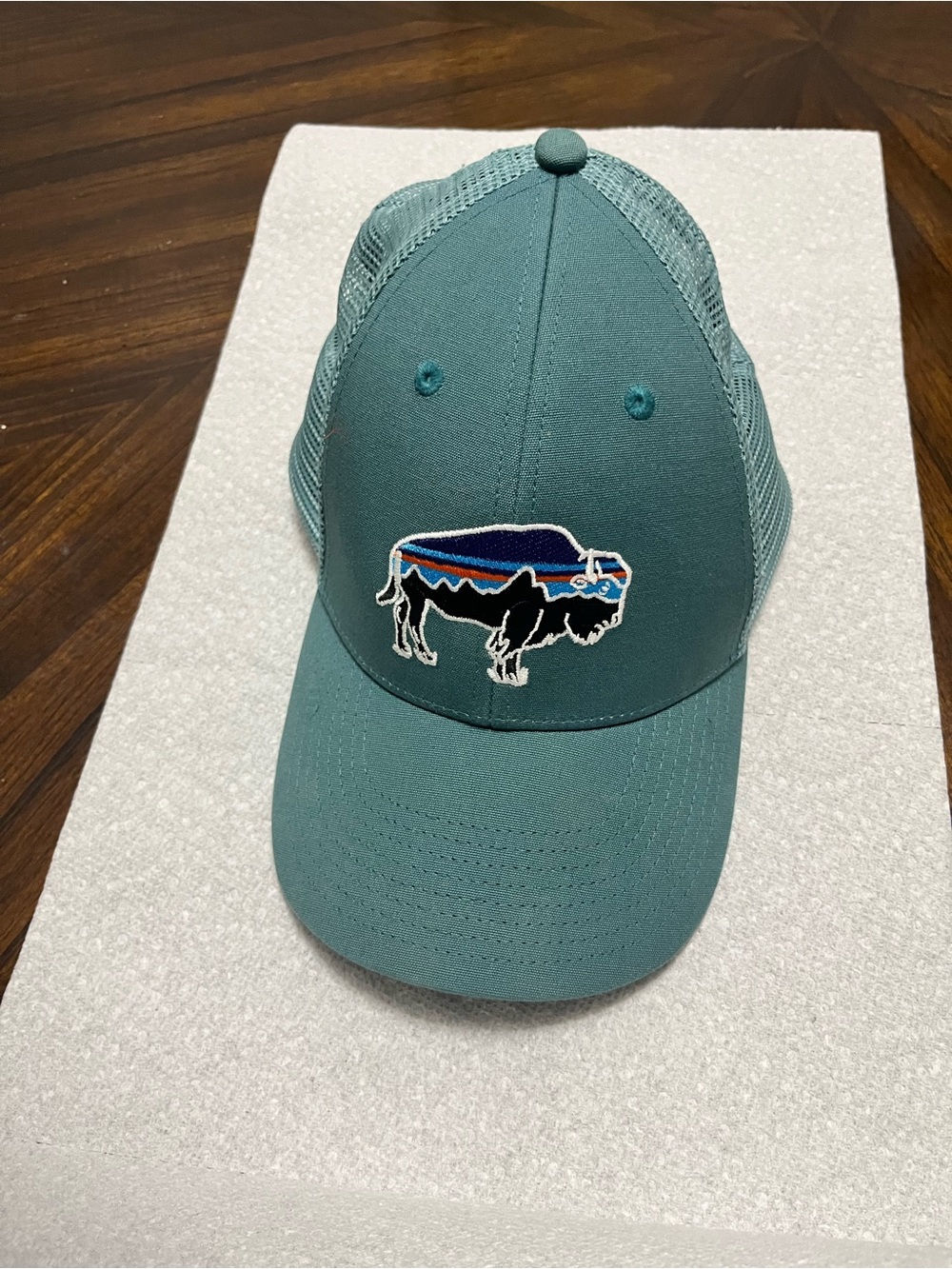 Patagonia Teal Trucker Hat with Buffalo Patch